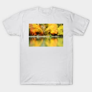 Fall at Lake Loon T-Shirt